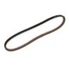 B-EX4T1 PINCH RLR BELT