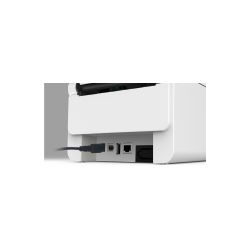 Arrière de l'imprimante Toshiba BV410T avec câbles branchés sur la connectique